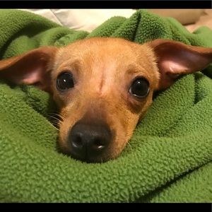 Meet your Posher, Tracy